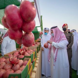 سمو أمير القصيم يشهد اليوم الذهبي لمهرجان رمان القصيم بنسخته الرابعة بمركز الشيحية