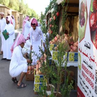 زراعة عسير: تدشن مهرجان الرمان الرابع بسراة عبيدة